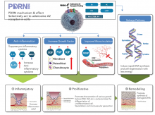 Nos prestations sur le secteur de Marseille 13006